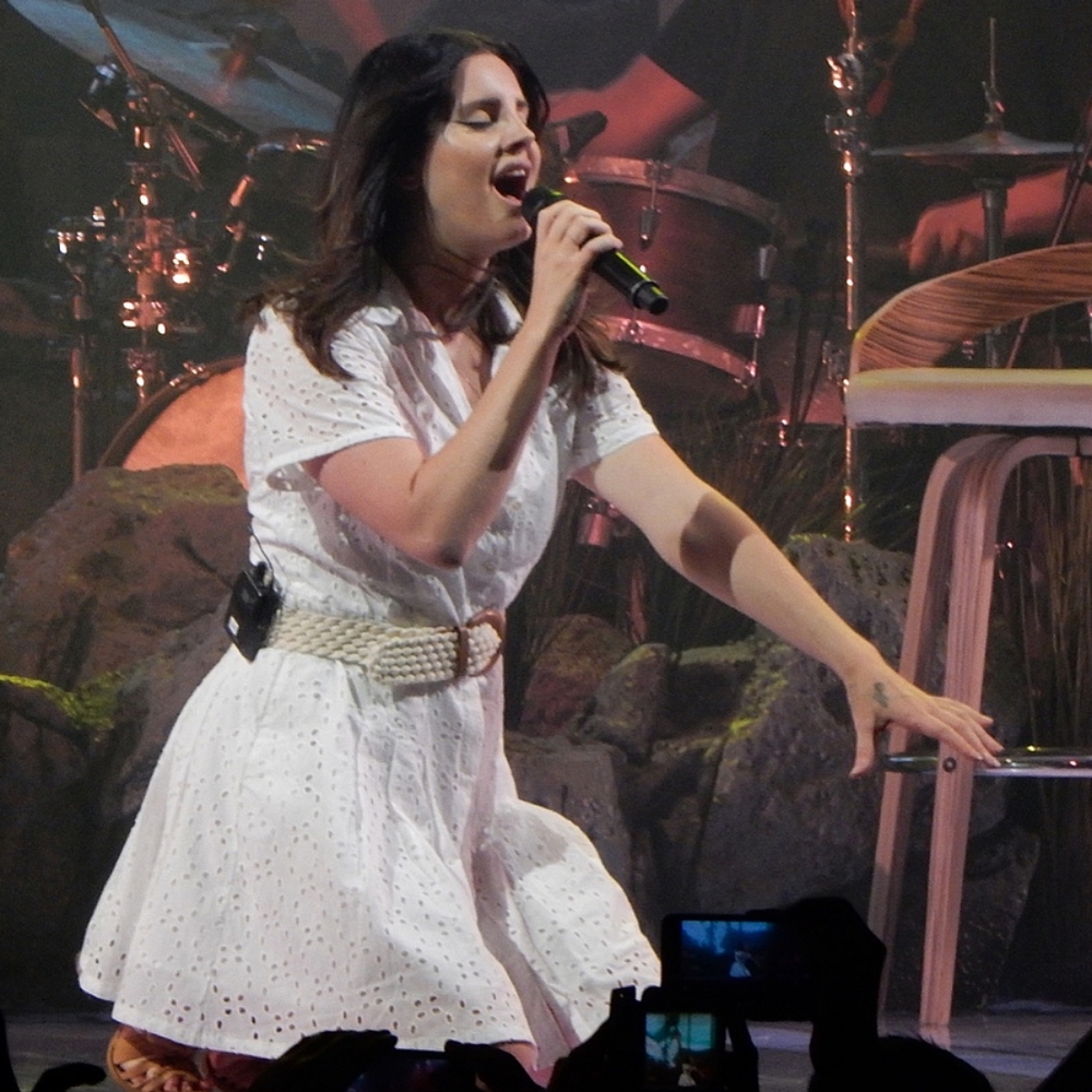 SOLD Lana Del Rey dress - Picture 1 of 10